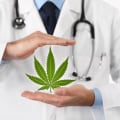 The Role of Doctors in Prescribing Medical Marijuana: The Future of Cannabis Medicine