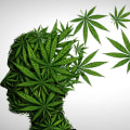 The Future of Medical Marijuana: How it Affects the Brain and Body