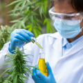 The Future of Medical Marijuana: Understanding its Interaction with Other Medications