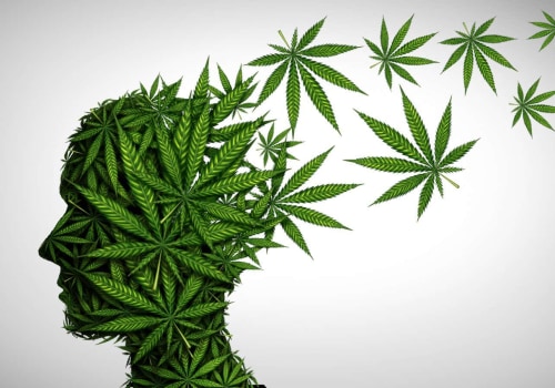 The Evolution of Medical Marijuana: Exploring the Future of Cannabis as Medicine