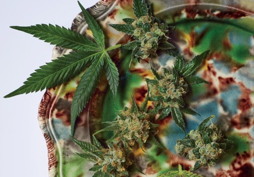 The Future of Medical Marijuana: Exploring the Different Forms Available