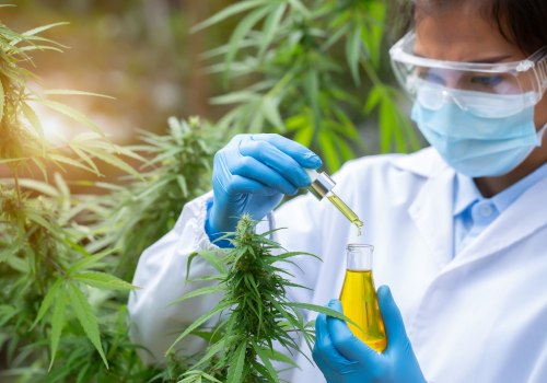 The Future of Medical Marijuana: Understanding its Interaction with Other Medications