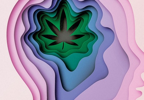 The Future of Medical Marijuana: An Expert's Perspective